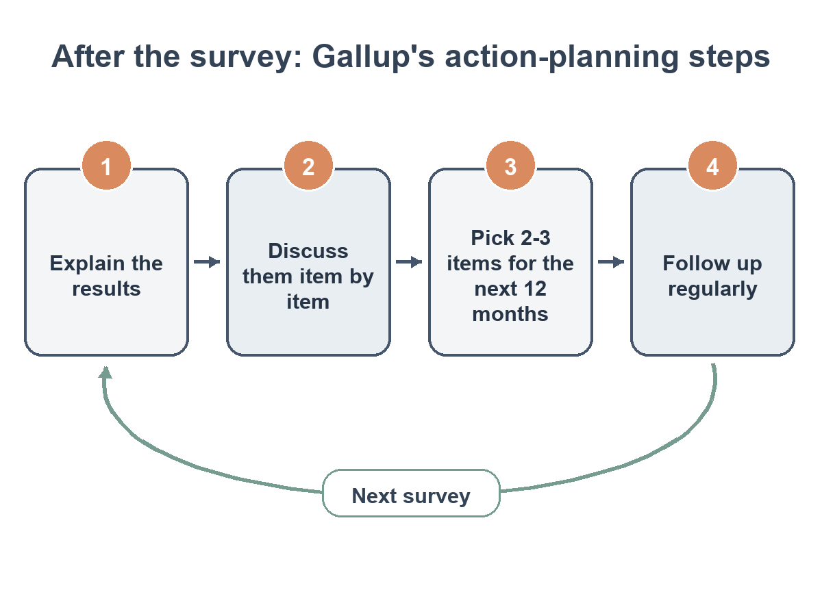 Four-step flow: explain the results, discuss them item by item, pick two or three items for the next 12 months, follow up regularly